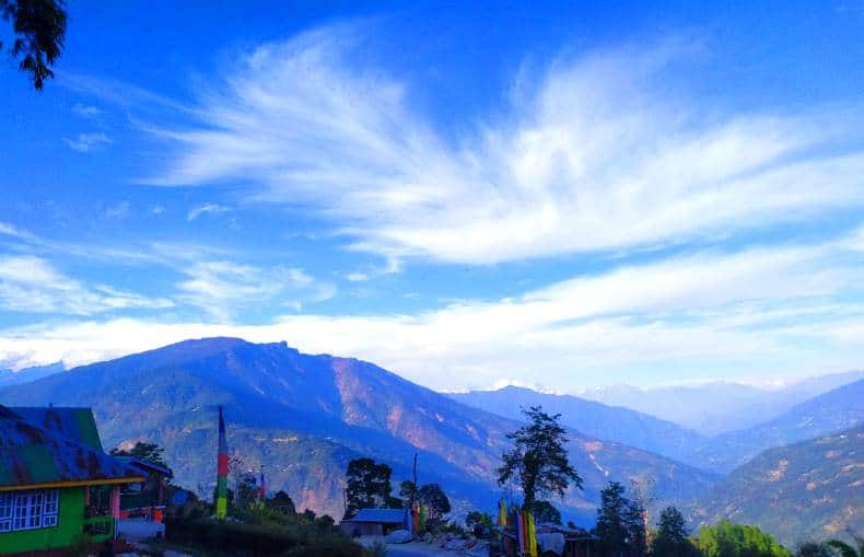 temi tea garden homestay