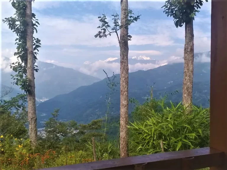 Mangarjung homestay