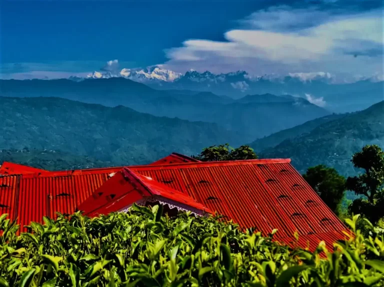 risheehat homestay