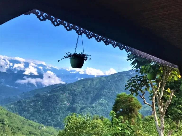Risheehat homestay