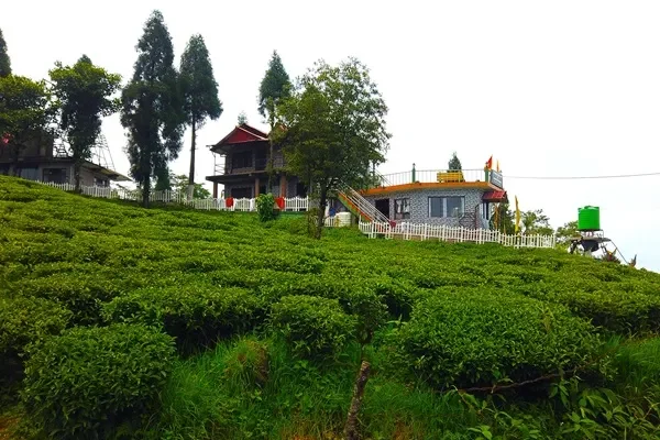 Mahaldiram Homestay