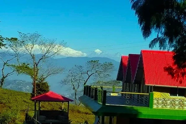 Mim Tea Garden Homestay