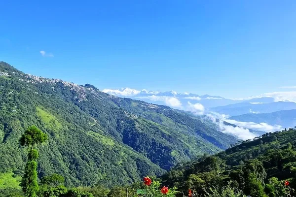 Kanchenjunga view from Rangaroon