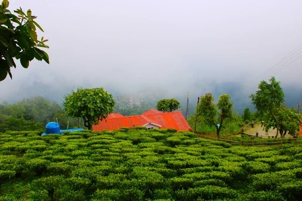 Riheehat Farmstay