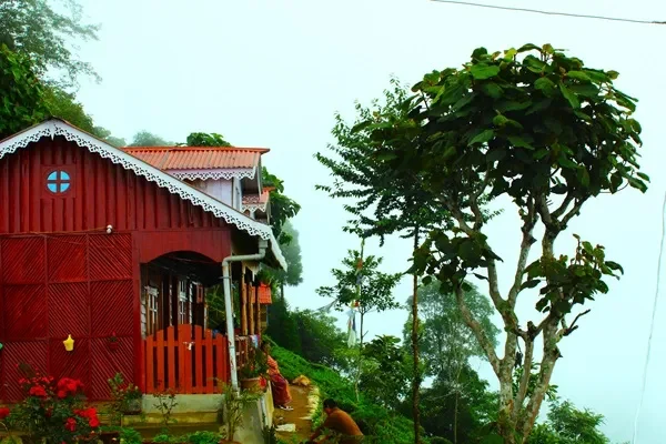 Risheehat Homestay