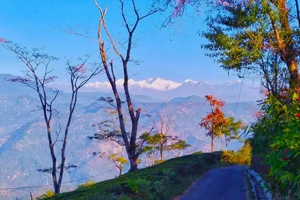 Tukvar